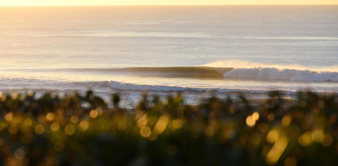 The Spot Surfcamp Hotel Biscarrosse Eksteriør billede